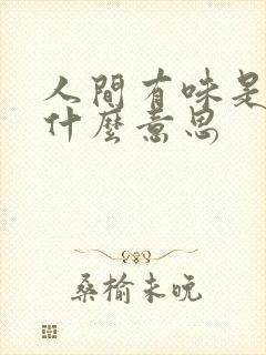 人间有味是清欢什么意思