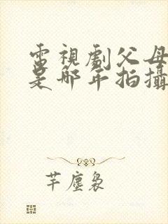 电视剧父母爱情是哪年拍摄的