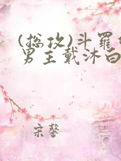 (总攻)斗罗双男主戴沐白