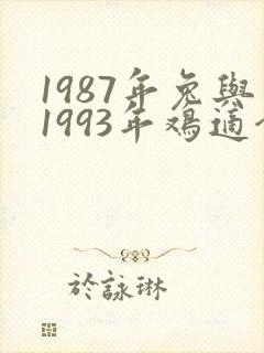 1987年兔与1993年鸡适合结婚吗