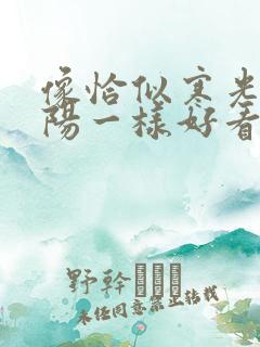 像恰似寒光遇骄阳一样好看的小说