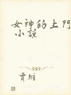 女神的上门贵婿 小说