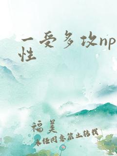一受多攻np双性