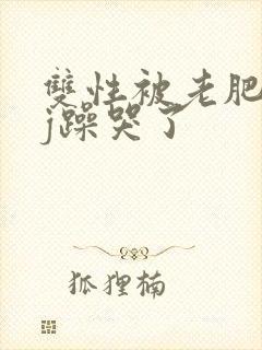 双性被老肥丑qj躁哭了