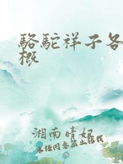 骆驼祥子各章梗概