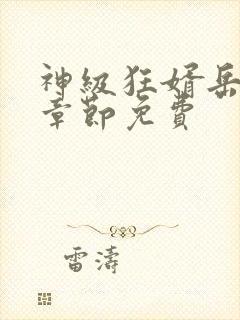 神级狂婿岳风全章节免费