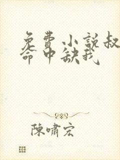 免费小说叔,你命中缺我