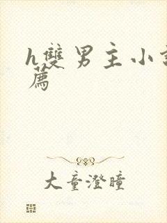 h双男主小说推荐