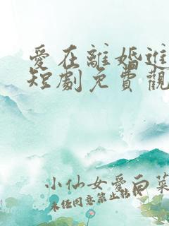 爱在离婚进行时短剧免费观看