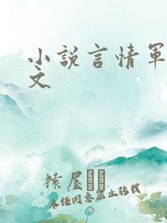 小说言情军婚宠文