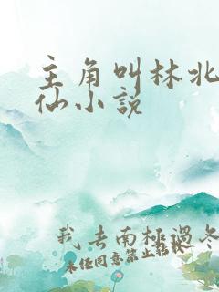 主角叫林北的修仙小说