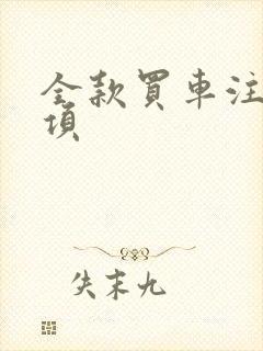 全款买车注意事项