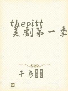 thepitt美剧第一季免费观看