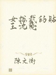 女总裁的贴身兵王沈飞