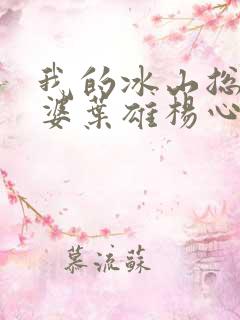 我的冰山总裁老婆叶雄杨心怡