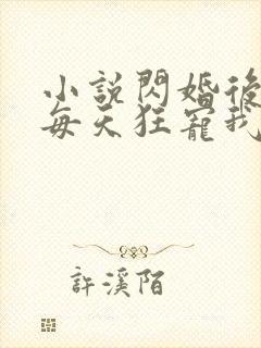 小说闪婚后大叔每天狂宠我完整版