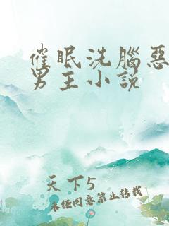 催眠洗脑恶堕双男主小说