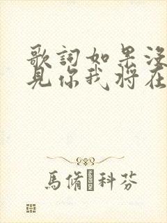 歌词如果没有遇见你我将在哪里