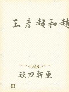 王彦超和赵匡胤