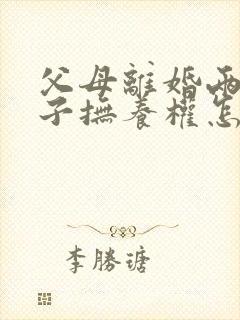 父母离婚两个孩子抚养权怎么算