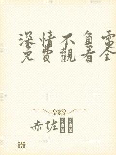 深情不负电视剧免费观看全集高清