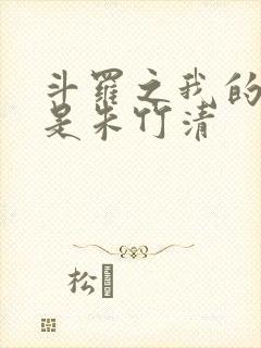 斗罗之我的老婆是朱竹清