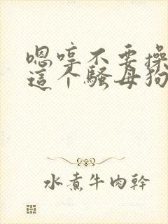 嗯哼不要操死我这个骚母狗