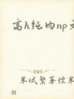 高h纯肉np文