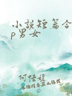 小说短篇合集np男女