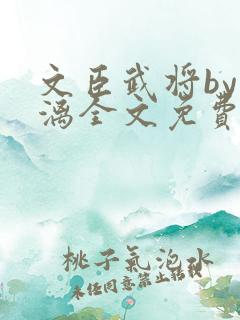 文臣武将by雪漓全文免费阅读笔趣阁