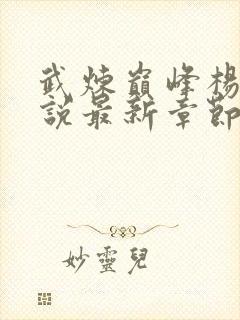 武炼巅峰杨开小说最新章节精校版