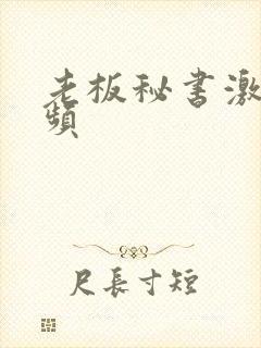 老板秘书激情视频