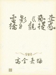 电影《飞夺泸定桥》观后感1000字