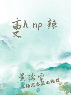 高h np 辣文