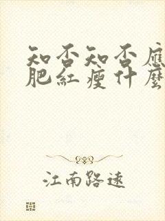 知否知否应是绿肥红瘦什么意思李清照