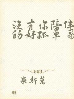 没有你陪伴我真的好孤单 歌词