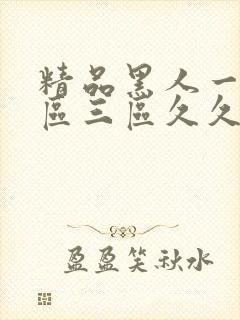 精品黑人一区二区三区久久