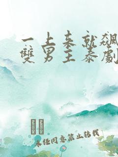 一上来就飙车的双男主泰剧