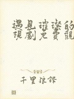 遇见璀璨的你电视剧免费观看全集