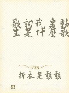 歌词我轰动了一生是什么歌