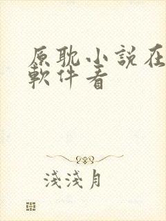 原耽小说在哪个软件看