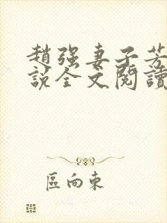 赵强妻子芳姨小说全文阅读