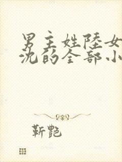 男主姓陆女主姓沈的全部小说