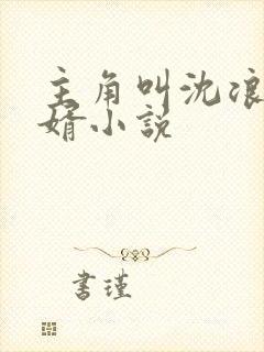 主角叫沈浪的赘婿小说