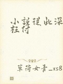 小说从此深情不枉付