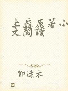 上瘾原著小说全文阅读