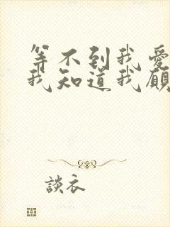 等不到我爱的人我知道我愿意再等是什么歌