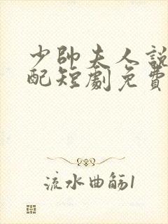 少帅夫人说她不配短剧免费观看