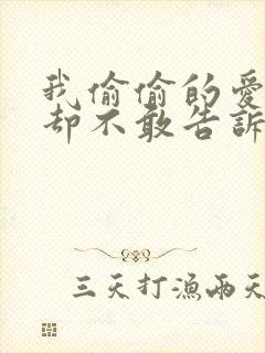 我偷偷的爱上你却不敢告诉你歌词