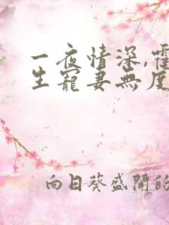 一夜情深,霍先生宠妻无度全集